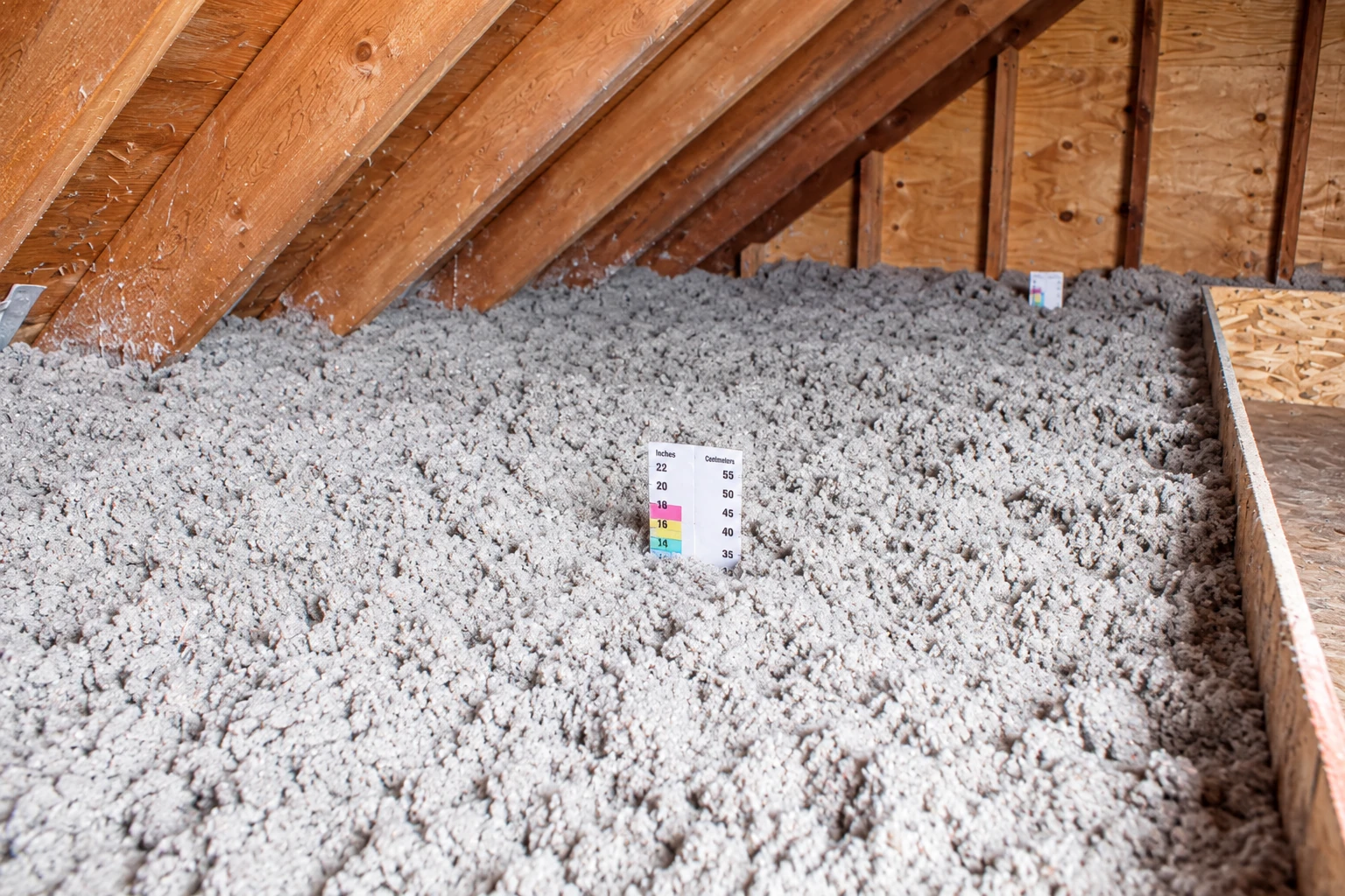 Loose-fill insulation blankets an attic floor between exposed wooden roof rafters, with a depth gauge standing near the center.